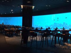 -海棠湾洲际-涛·海底餐厅·美人鱼·自助餐·海底隧道