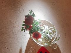 -农耕记·湖南土菜(halo广场店)