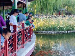 -西海子公园