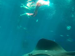 -北戴河圣蓝海洋公园