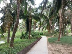 android_upload_pic-三亚亚龙湾红树林度假酒店