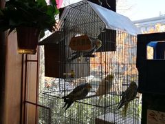 -玉桥餐厅(天坛店)