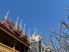 -西双版纳总佛寺