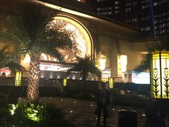 -影汇之星8字形摩天轮