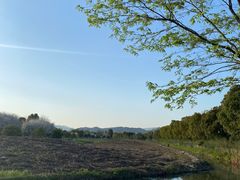 -径山花海