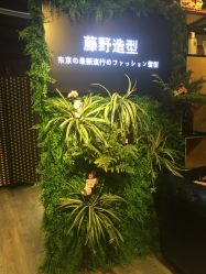-藤野造型