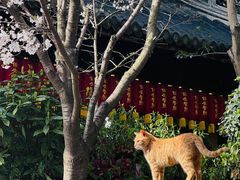 -龙华寺