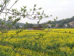 -红山村
