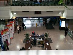 -上海市东方医院(总院)