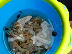 -东戴河风景区-止锚湾