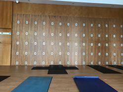 -LU YOGA（露瑜伽）专业瑜伽馆