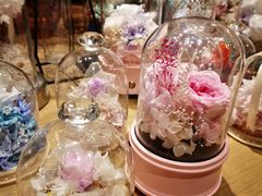 -G·SPACE(金鹰世界店)