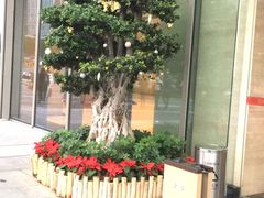 -IFC福州国际金融中心