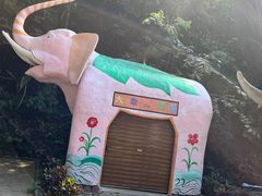 -野象谷景区
