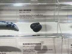 -广东中医药博物馆