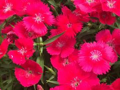 -南通洲际绿博园