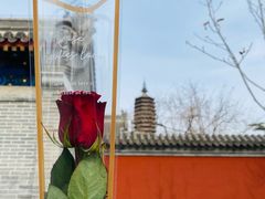 -西海子公园