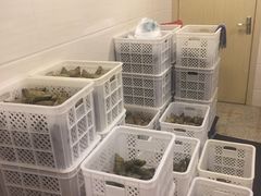 -璐坊粽王(复兴中路店)