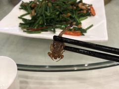 -金河半岛园林酒家(金融城店)
