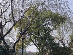 -青山湖景区