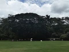 -中国科学院西双版纳热带植物园