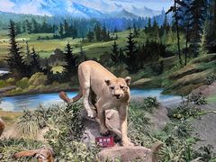 -陕西自然博物馆