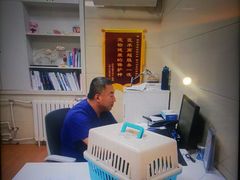 -北京观赏动物医院·24小时大型综合·猫专科·异宠专科