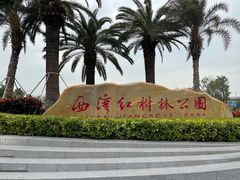 -宝安西湾红树林湿地公园