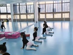 -西安小天鹅艺术团(曲江Alice店)