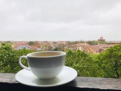 -上海崇明金茂凯悦酒店