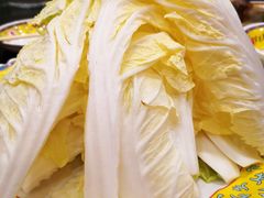 白菜-芦月轩羊蝎子(北蜂窝店)