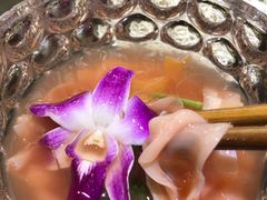 鲜鸭肠-重庆渝达老火锅(春熙路店)