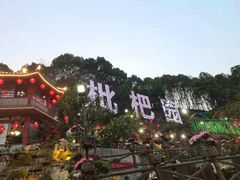 -枇杷园食为鲜火锅(南山店)