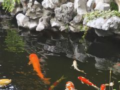 -鲤院·新中式美学·庭院餐厅(夫子庙店)