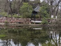 -月湖风景区