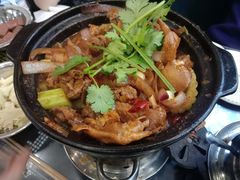 鸡鸡蛙蛙中煲-川香煲(茅台路店)