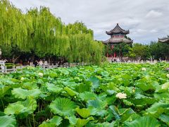 -济南大明湖景区