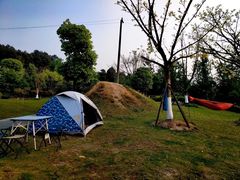 -铁山坪森林公园