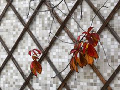 -新沙洞咖啡(泉乐坊店)