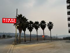 -东江湖游水三文鱼美食城