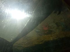 -波塞冬旅游度假区