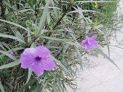 -苏州河梦清园环保主题公园