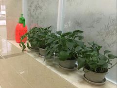 -仁华宠物医院(青羊店)