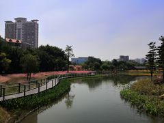 -映月湖公园
