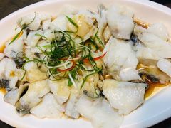 清蒸东星斑-大厝宅海鲜馆