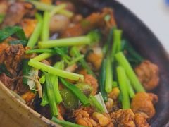 招牌家鸡煲-渝君重庆火锅(嘉宾路店)
