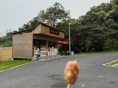 -黄埔油麻山森林公园