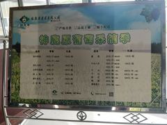 -白鹿原葡萄主题公园