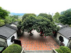 -广州神农草堂中医药博物馆