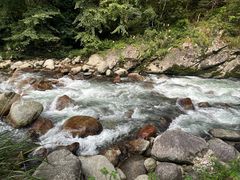 -炎陵县神农谷国家森林公园
